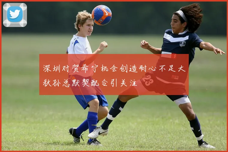 深圳对贺希宁机会创造耐心不足大秋孙总默契配合引关注