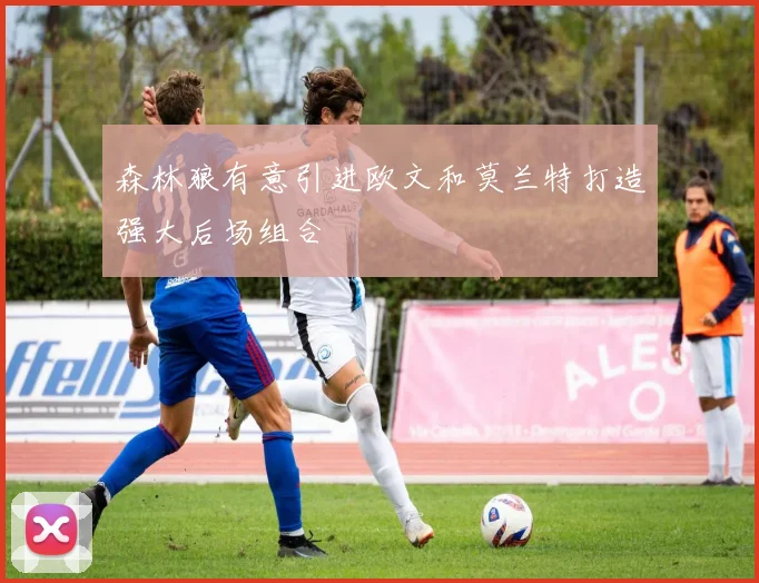 森林狼有意引进欧文和莫兰特打造强大后场组合